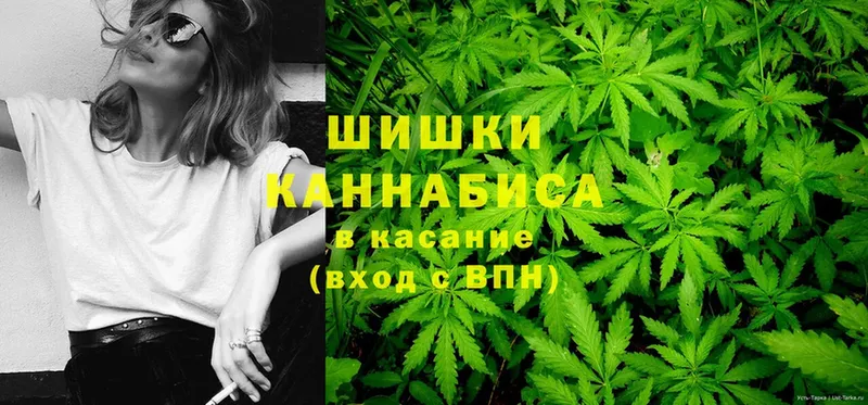 Марихуана Amnesia  Лесозаводск 